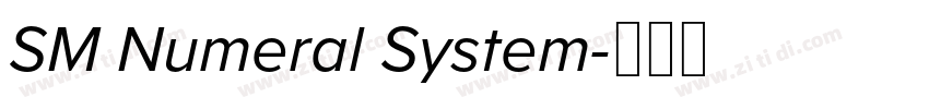 SM Numeral System字体转换 SM Numeral System字体转换